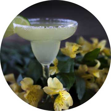 Margarita Cocktail